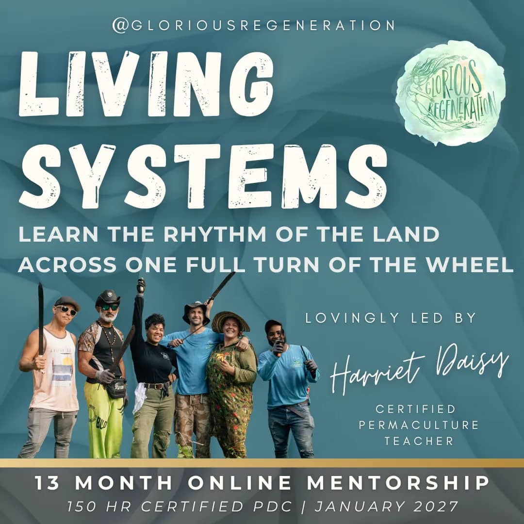 Living Systems — 13-month certified PDC